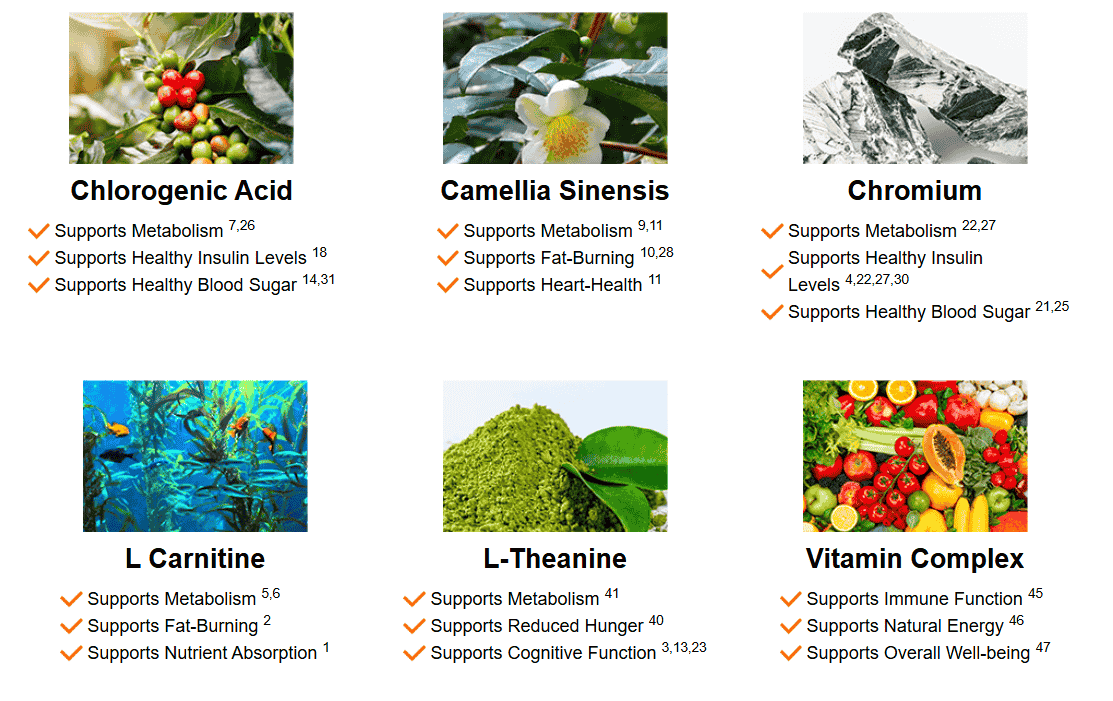 Java Burn ingredients